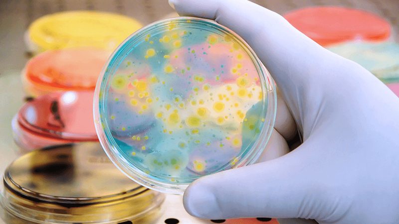 生物制品质量控制：揭秘行业标准背后的关键参数**