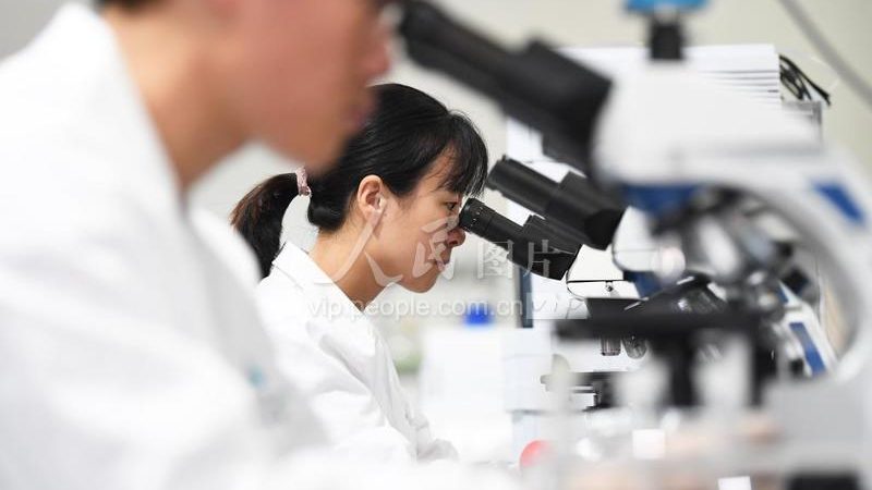 定制CHO细胞培养基，如何选择专业公司？**