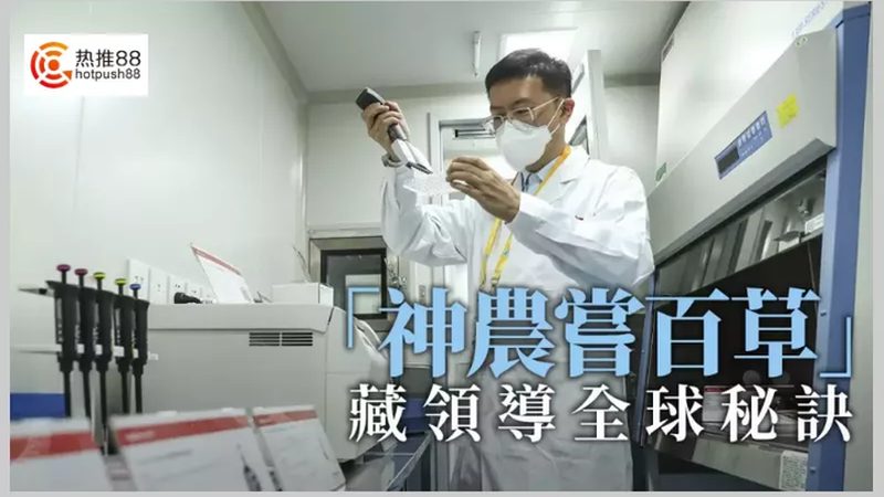 引物合成：揭秘PCR实验中的关键步骤