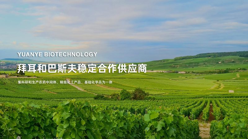 预防性生物制品注册申报流程：关键步骤与要点解析