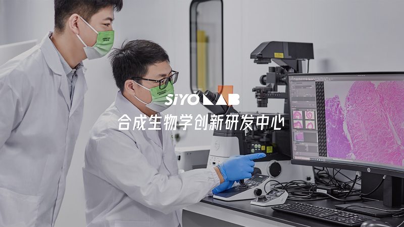 生物制品GMP认证：流程解析与关键要点**