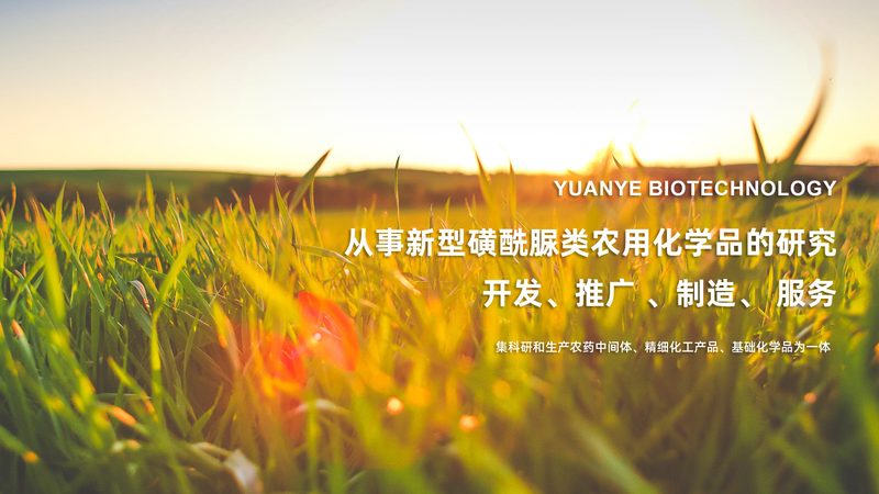 精准定量，高效检测——揭秘定量PCR专用移液器**