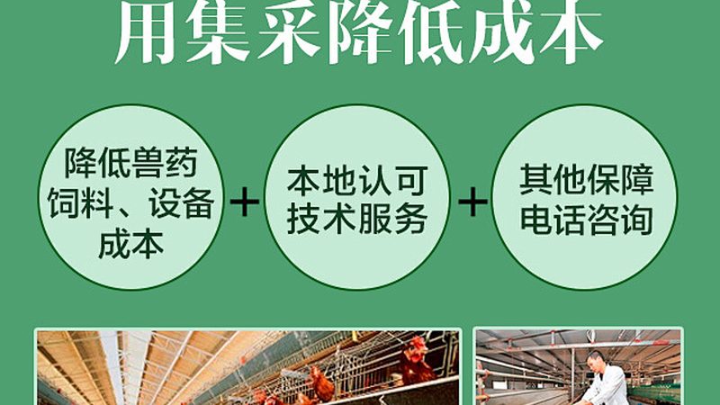 细胞工厂成本核算：关键因素与优化策略