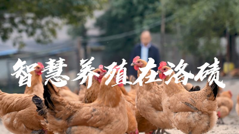 细胞工厂：揭秘十大品牌背后的技术秘密