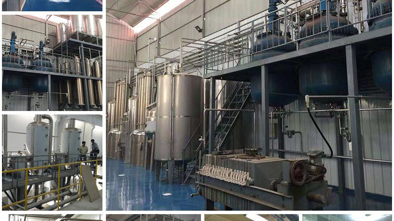 小分子CDMO：揭秘药物研发背后的“隐形功臣