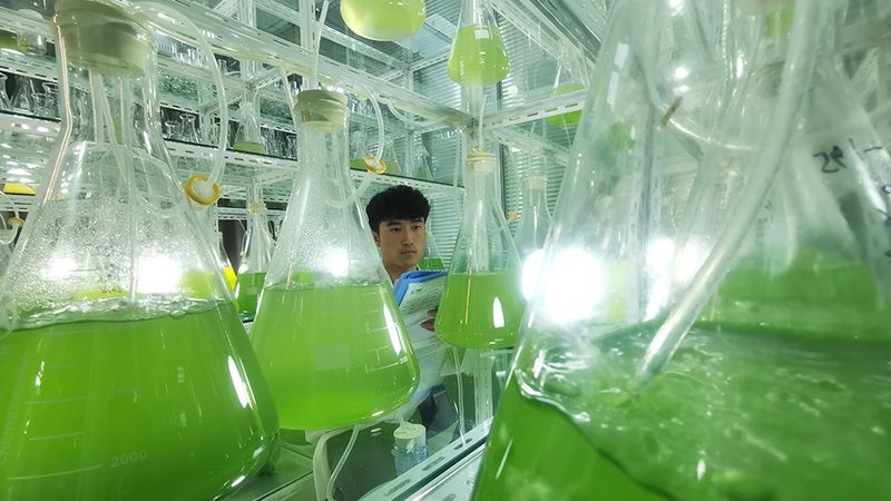 抗体产品质检报告：如何解读与查询